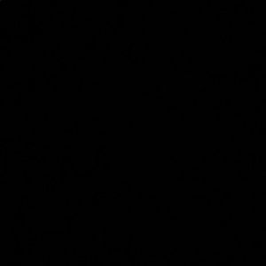 Meet your Posher, Glockyy